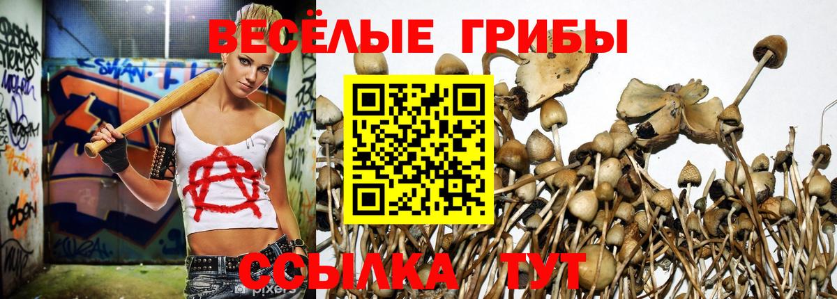 Псилоцибиновые грибы мицелий Тулун