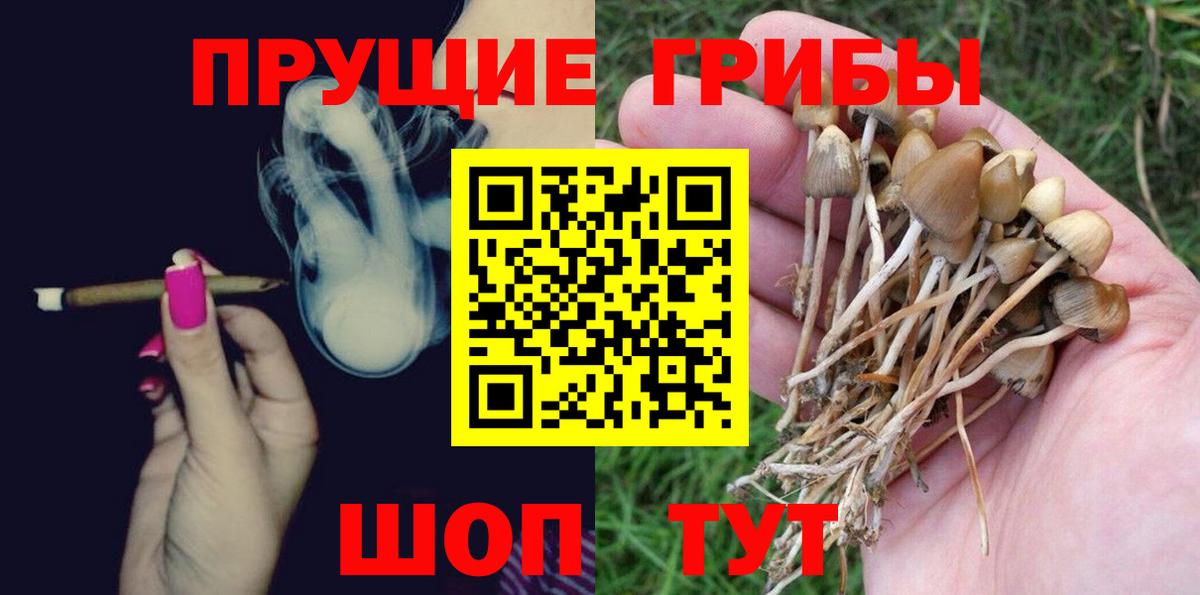 Галлюциногенные грибы Psilocybine cubensis  Вход с VPN  Тулун 